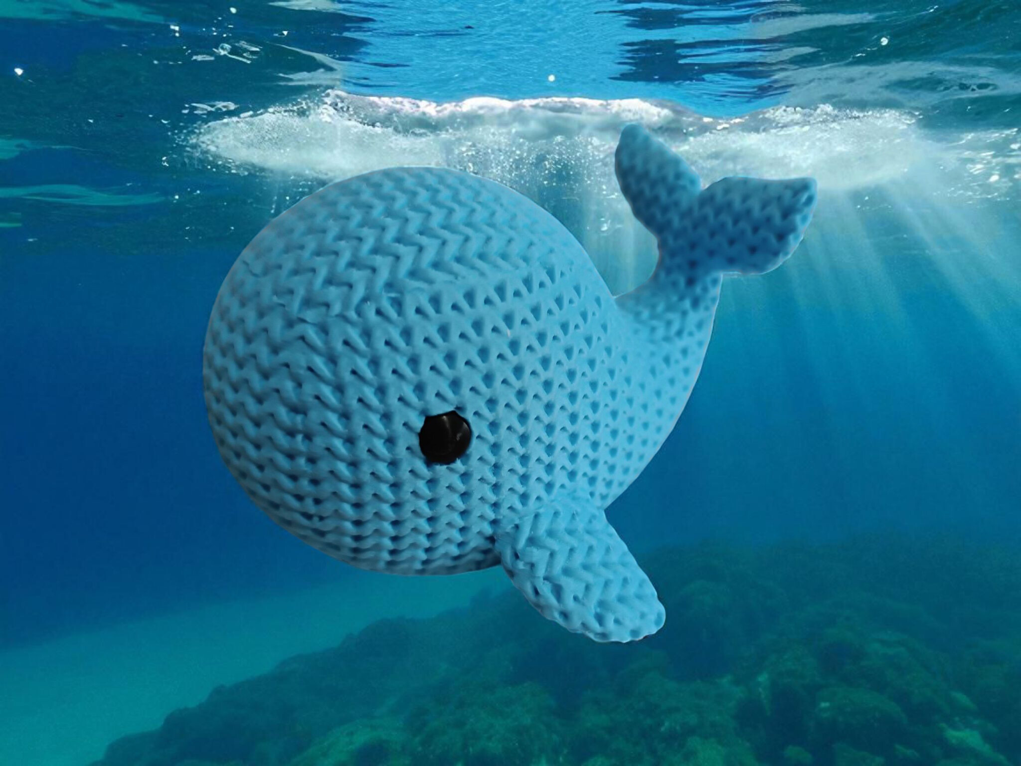 Animali marini